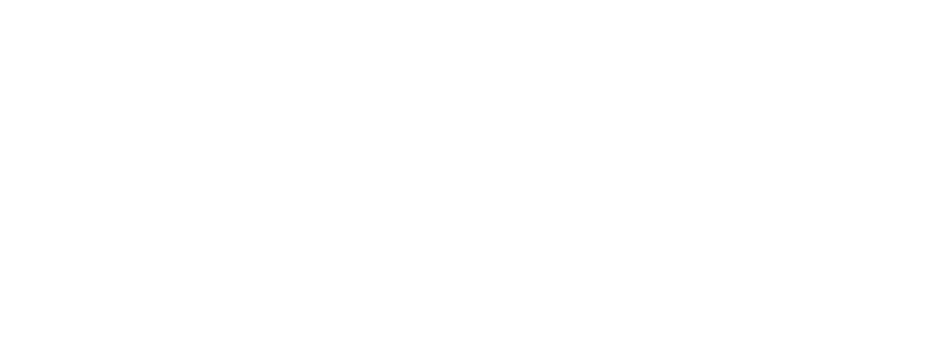 Lizard care guides