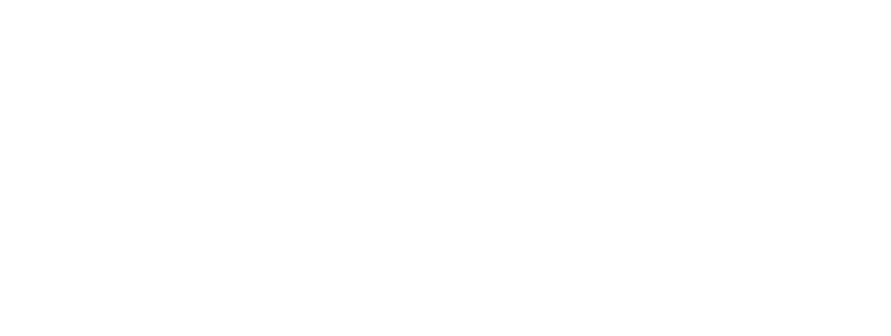 reptile must haves